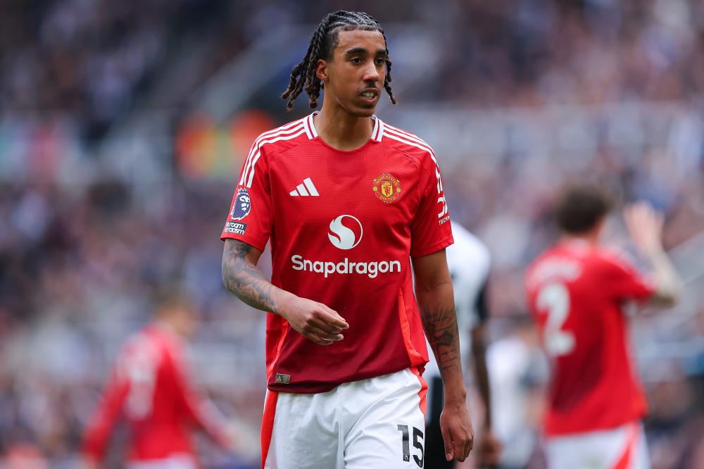 他们该如何 他们该如何